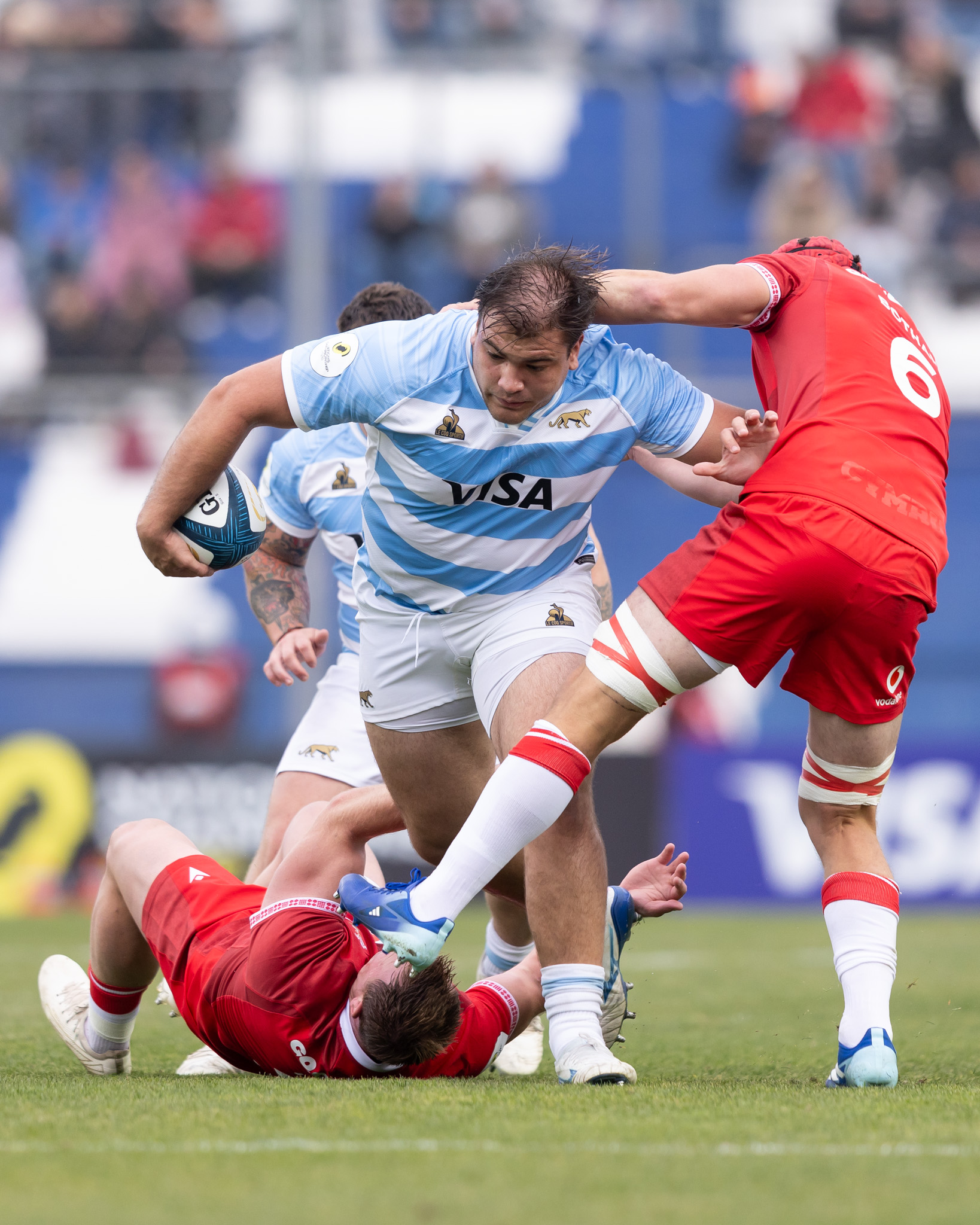 Los Pumas v Wales,
Estadio San Juan del Bicentenario, San Juan, Argentina.
Foto: Juan Gasparini / Gaspafotos / Prensa UAR