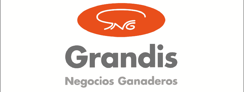 Publicidad